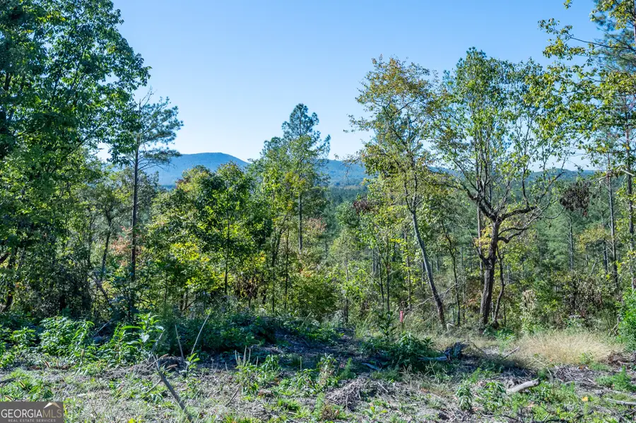 3875 Hwy 140 Ne, Rydal, GA 30171 - Image #2