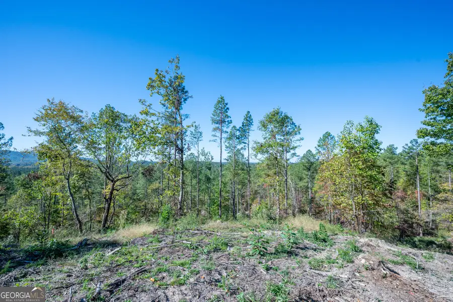 3875 Hwy 140 Ne, Rydal, GA 30171 - Image #3