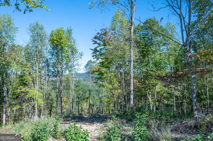 3879 Hwy 140 Ne, Rydal, GA 30171 - Image #2