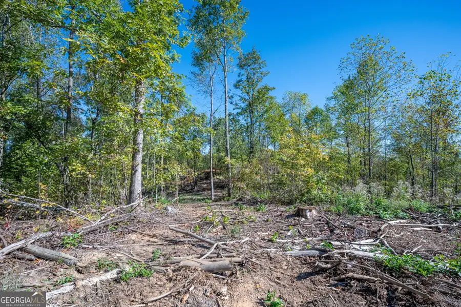 3883 Hwy 140 Ne, Rydal, GA 30171 - Image #3