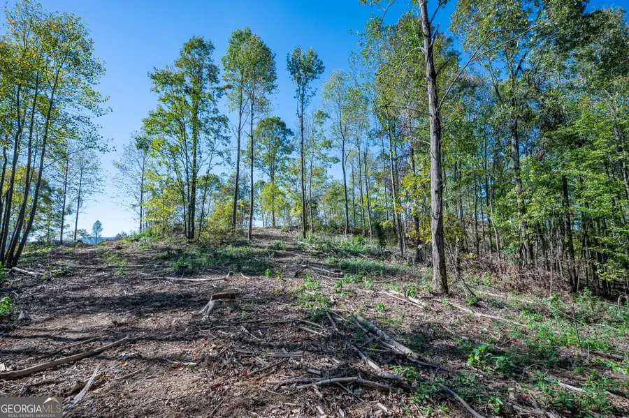 3887 Hwy 140 Ne, Rydal, GA 30171 - Image #2