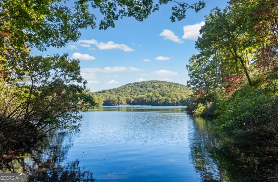 81 Flycatcher Point, Big Canoe, GA 30143 - Image #3