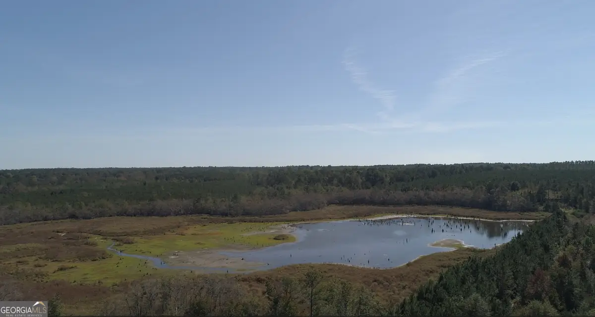 2202 Kennedy Bridge Road, Register, GA 30452 - Image #1