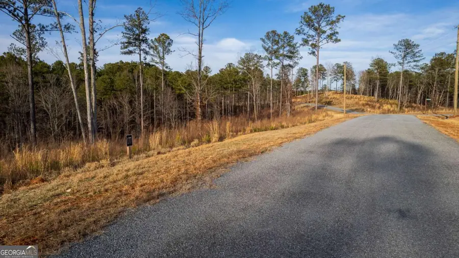 LOT 177 Shallow Water Way, Talking Rock, GA 30175 - #3