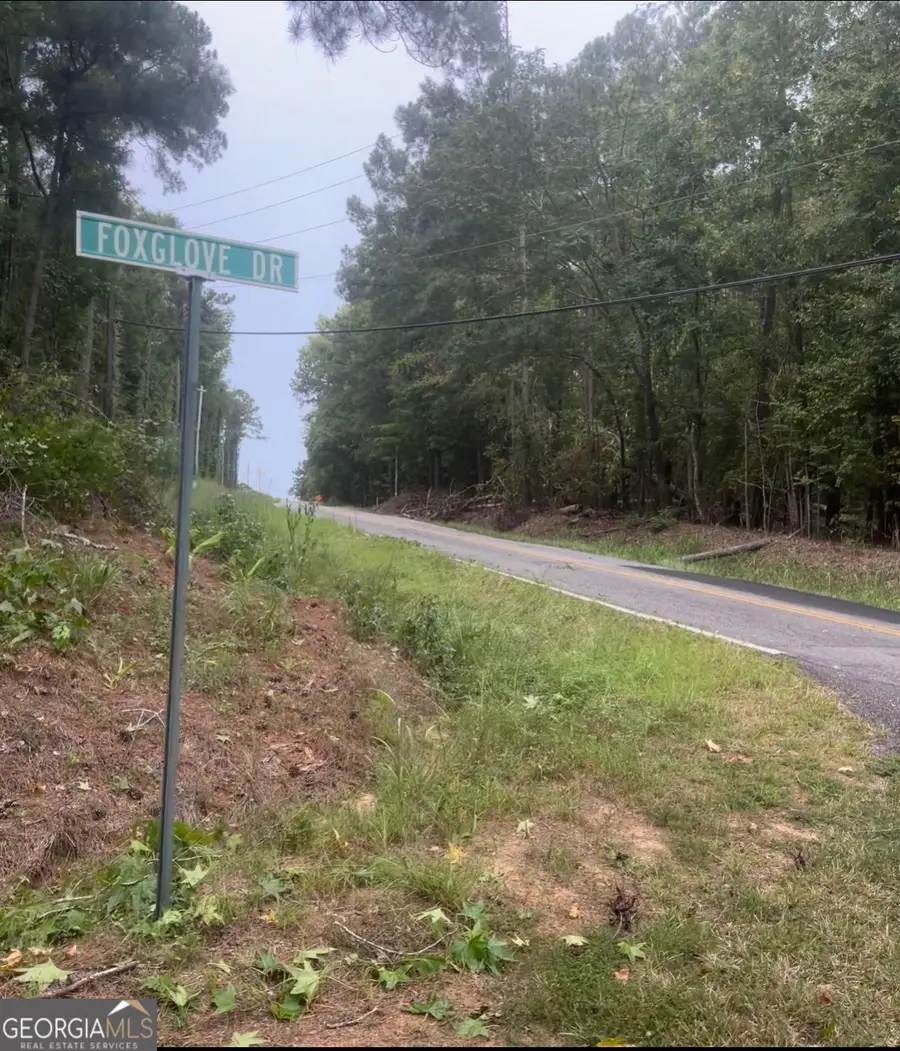 0 Island Creek Drive, Sparta, GA 31087 - Image #2