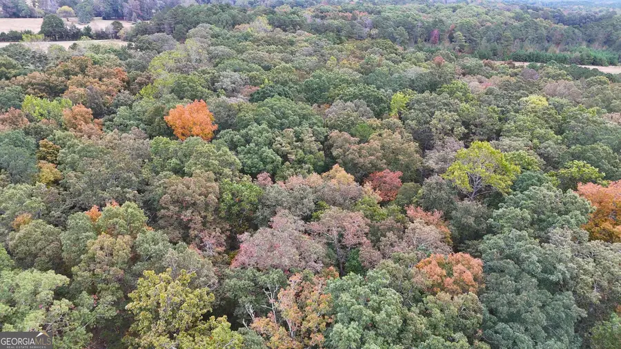 12895 Highway 36, Covington, GA 30014 - Image #2