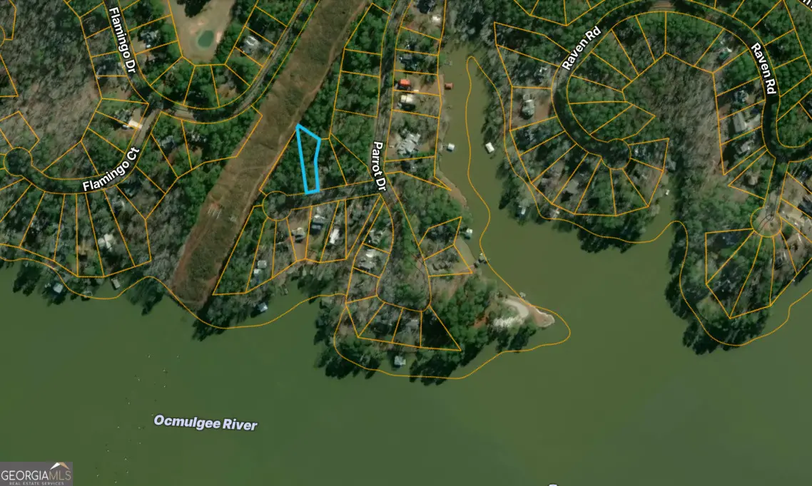 0 Parrot Court, Monticello, GA 31064 - Image #1