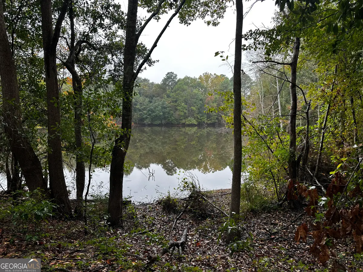 0 Williams Drive, Eastman, GA 31023 - Image #1