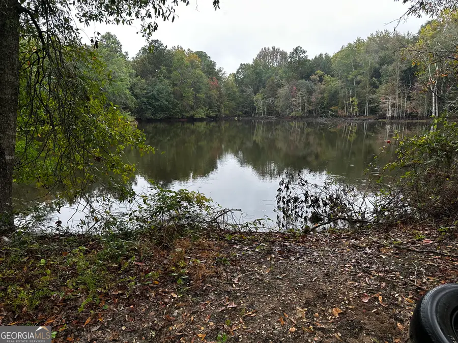 0 Williams Drive, Eastman, GA 31023 - Image #2