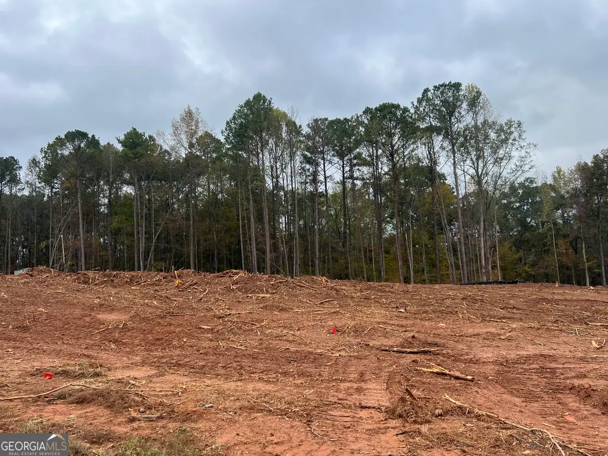 LOT 16 Tea House Lane #16, Newnan, GA 30263 - Image #1