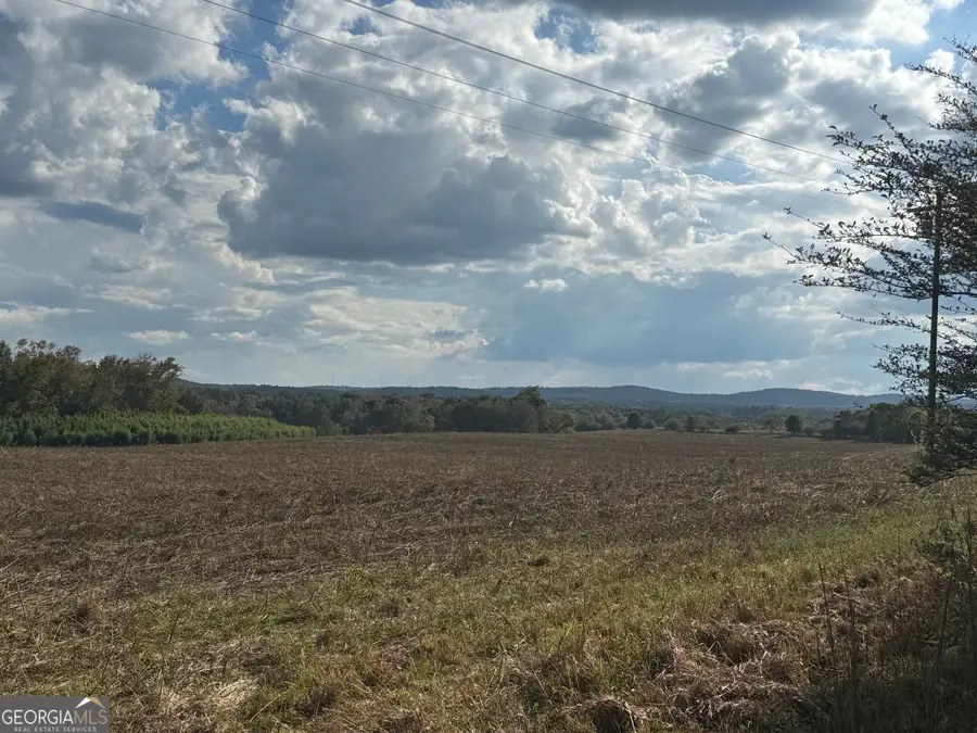 35+/- AC Hwy 109, Zebulon, GA 30295 - Image #3