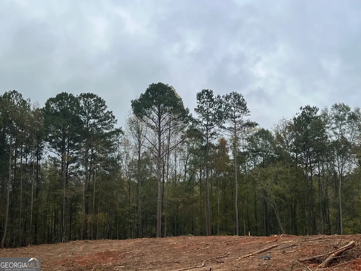 LOT 29 Mossy Oak Court #29, Newnan, GA 30263 - Image #1
