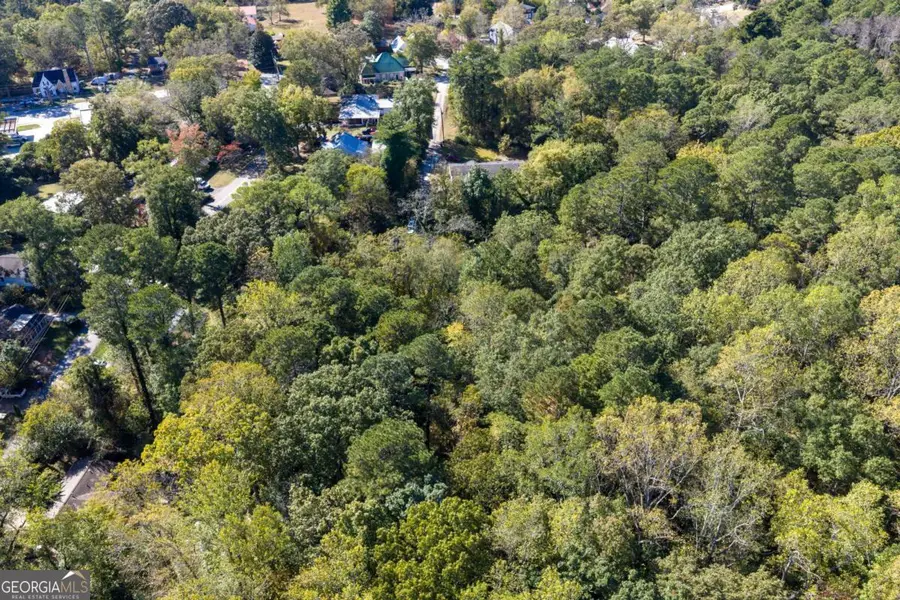 0 E Foster Avenue, Dallas, GA 30132 - Image #2