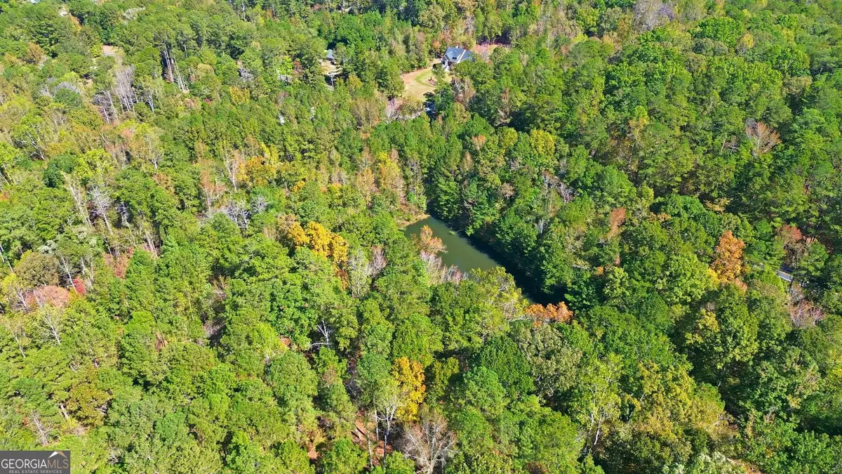 10120 Rivertown Road, Chattahoochee Hills, GA 30213 - Image #1