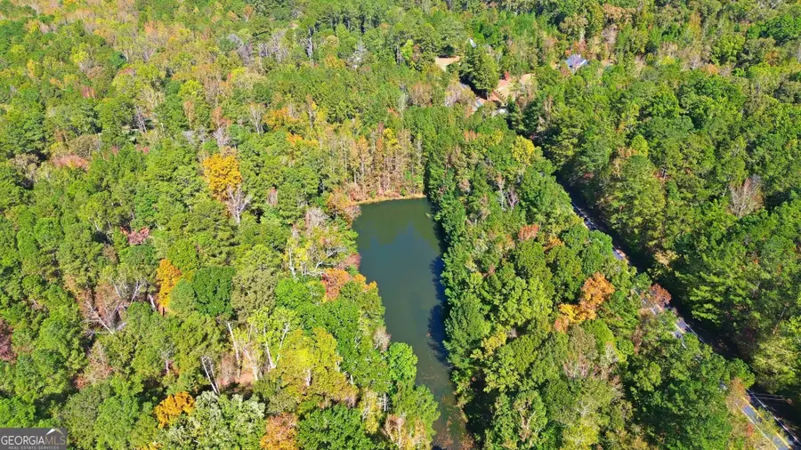 10120 Rivertown Road, Chattahoochee Hills, GA 30213 - Image #2