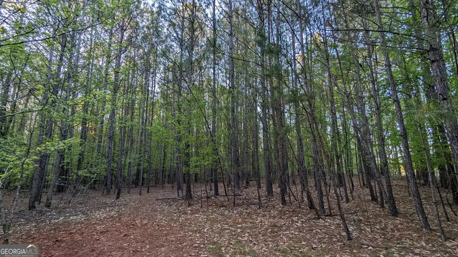 0 Hathcock Road #TRACT 1, South Fulton, GA 30349 - Image #3