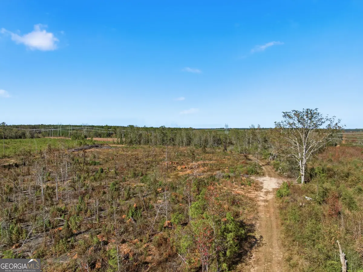 39.702 AC Heards Bridge Road, Davisboro, GA 31018 - Image #1