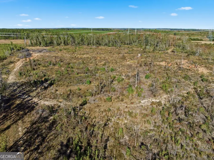 39.702 AC Heards Bridge Road, Davisboro, GA 31018 - Image #3