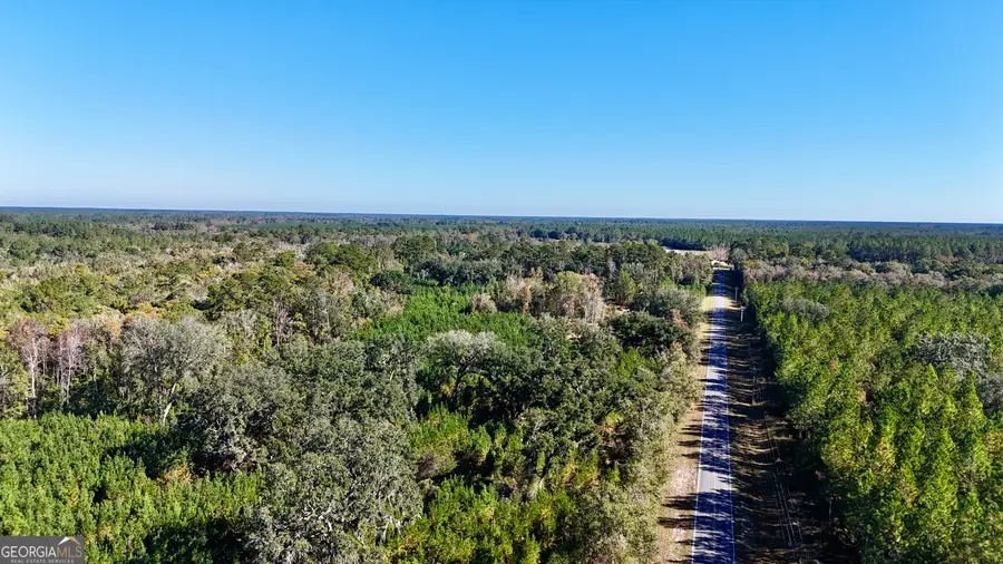 0 Bachlott Church Road, Nahunta, GA 31553 - Image #2