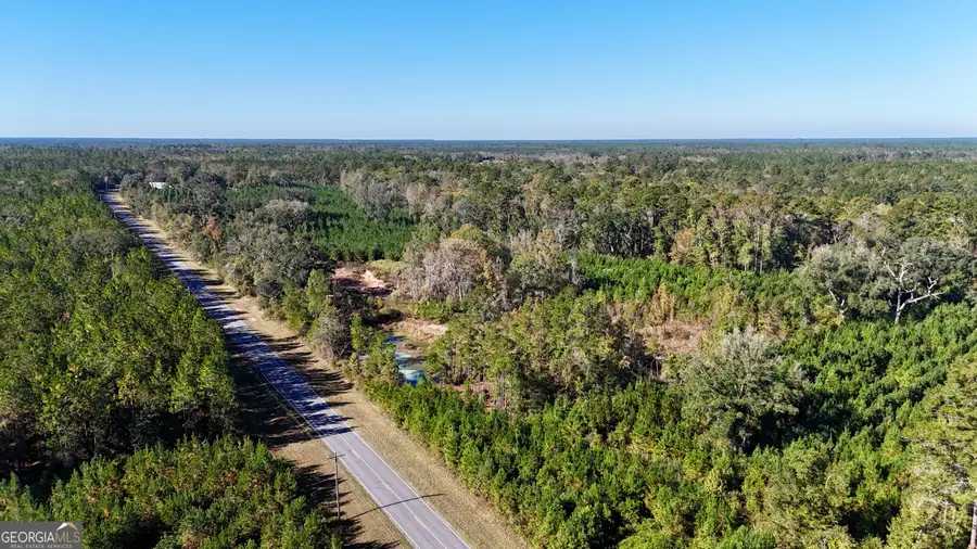 0 Bachlott Church Road, Nahunta, GA 31553 - Image #3
