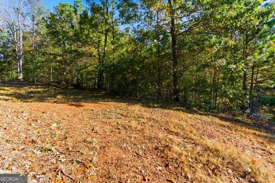 7794 Gusty Trail, Douglasville, GA 30135 - Image #3