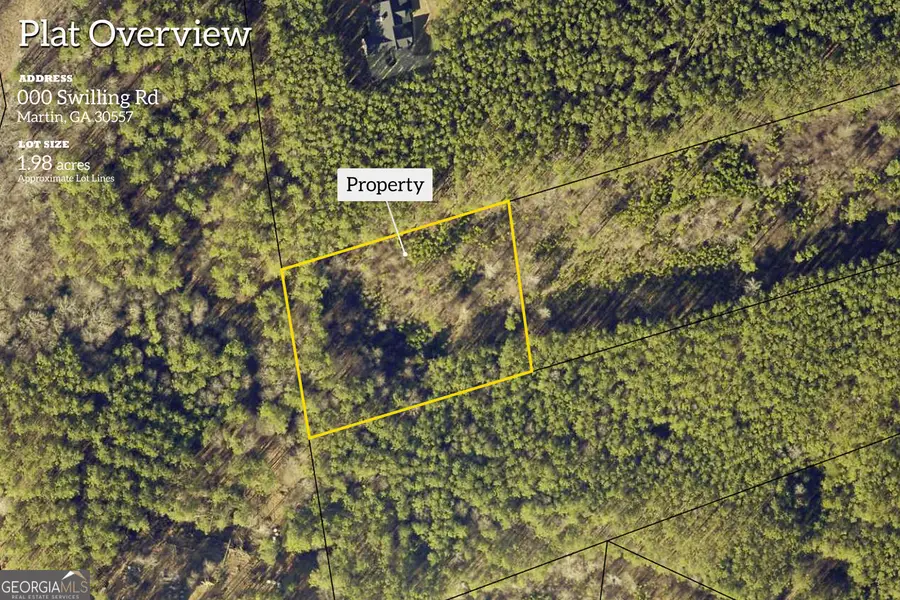 000, LOT 30C Swilling Road, Eastanollee, GA 30538 - Image #2