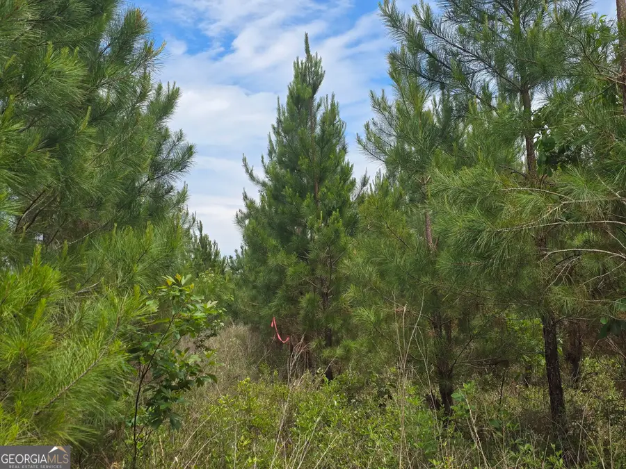 11 Marvin Murphy Road, Ellaville, GA 31806 - Image #2