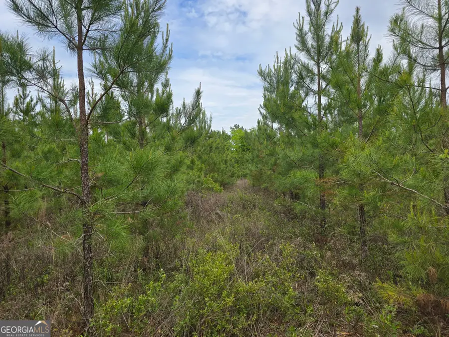 27 Marvin Murphy Road, Ellaville, GA 31806 - Image #3