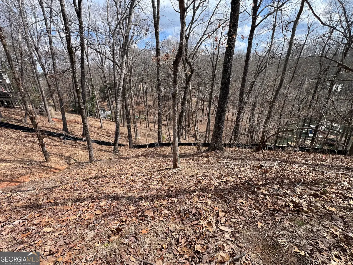 3393 Banks Mountain Drive, Gainesville, GA 30506 - Image #1