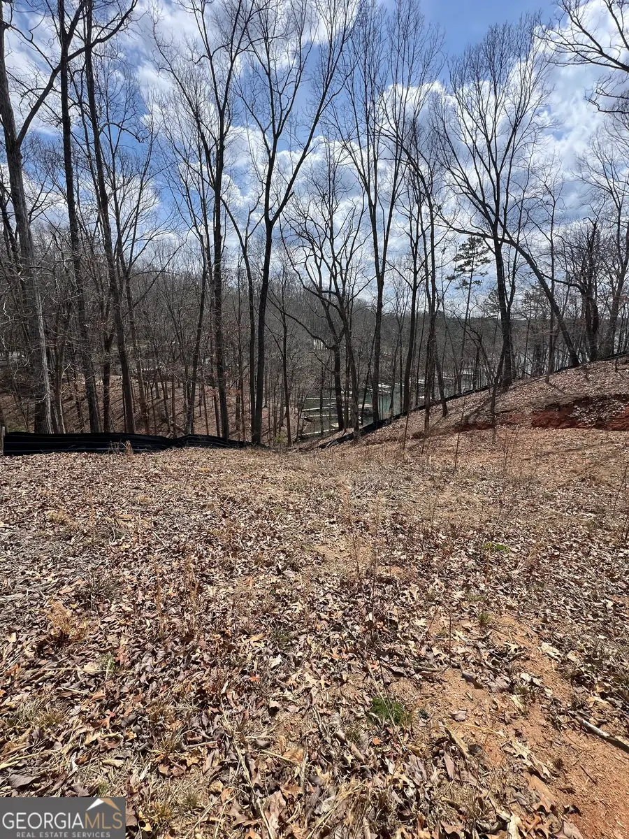 3393 Banks Mountain Drive, Gainesville, GA 30506 - Image #2