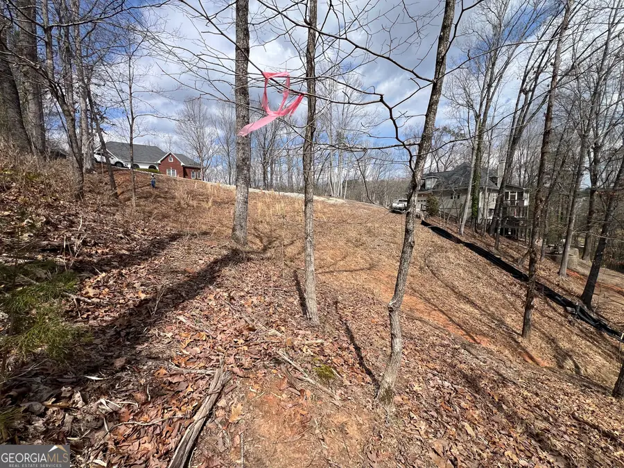 3393 Banks Mountain Drive, Gainesville, GA 30506 - Image #3