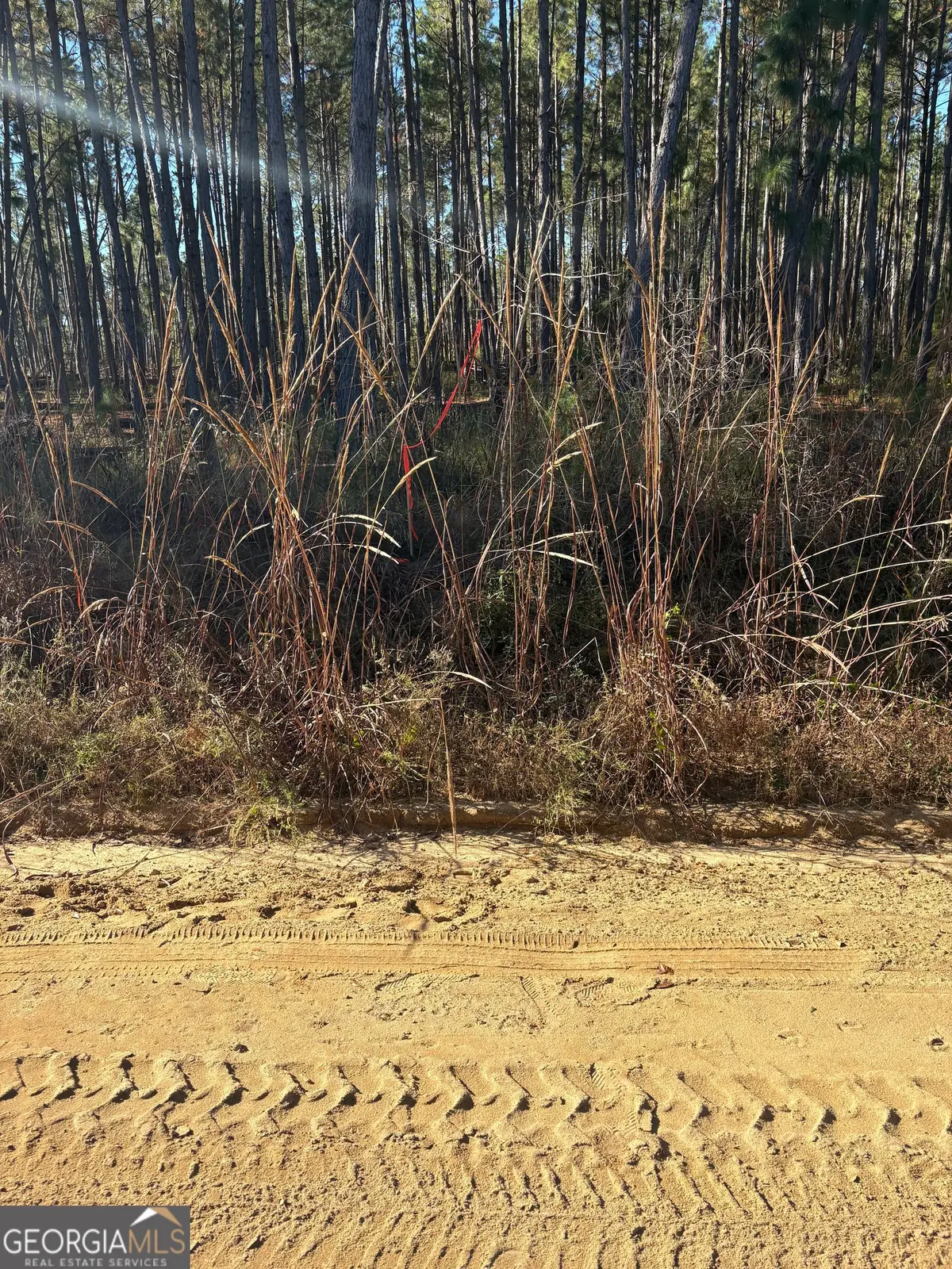 2441 Guy Weatherly Road, Cadwell, GA 31009 - Image #1