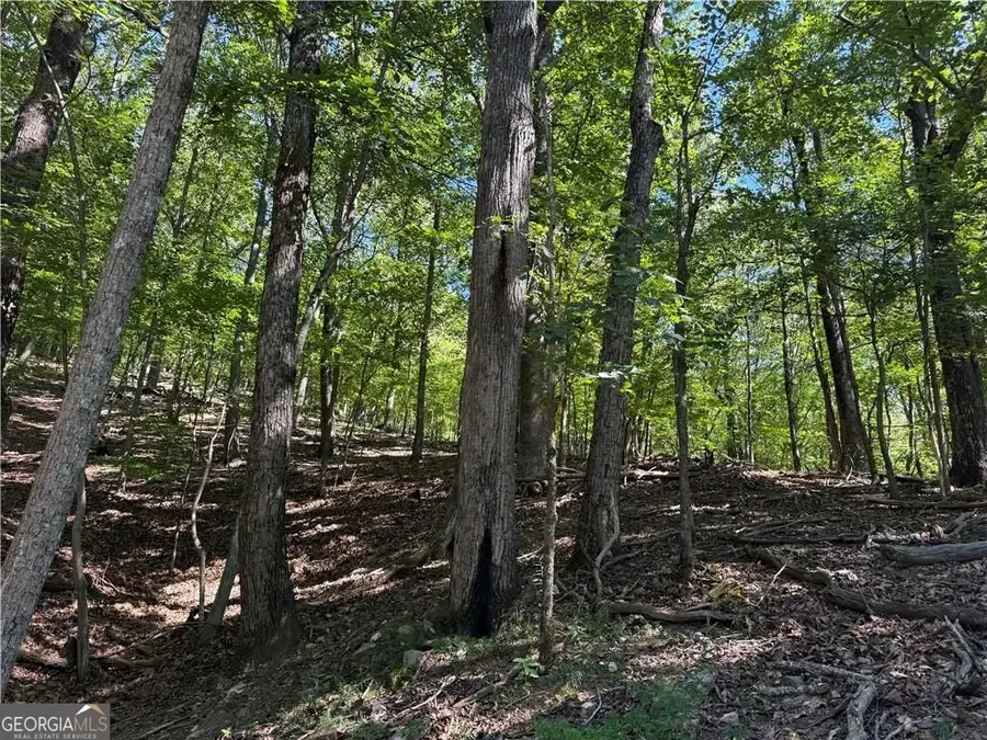 0 Moss Patch, Jasper, GA 30143 - Image #3