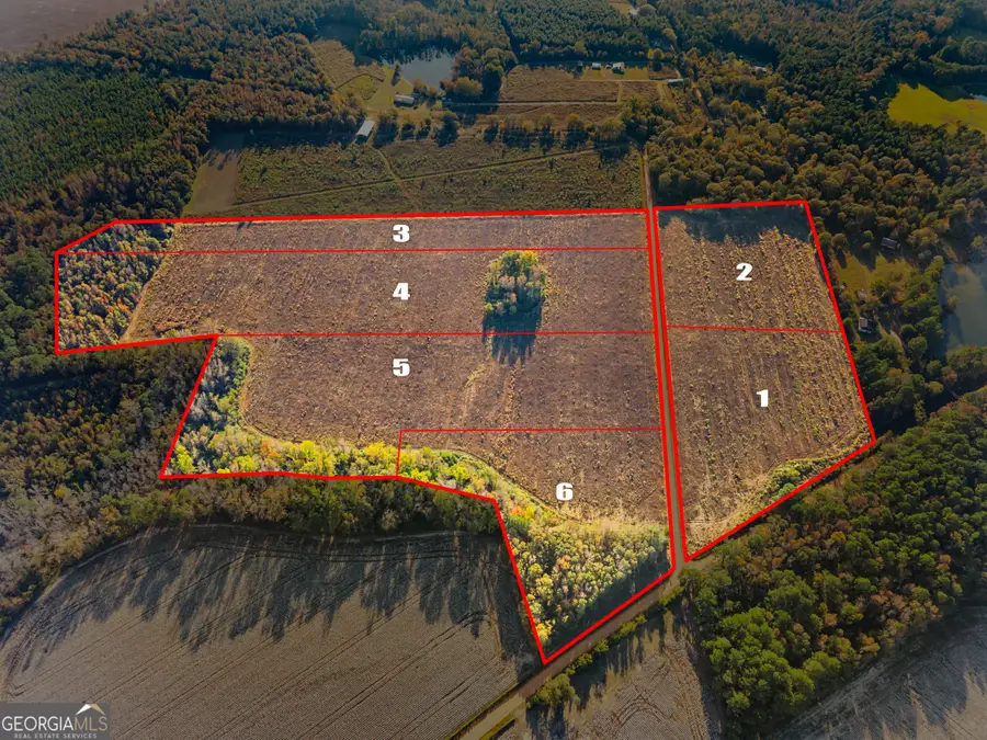 0 Waters Lane #LOT 5, Claxton, GA 30417 - Image #2