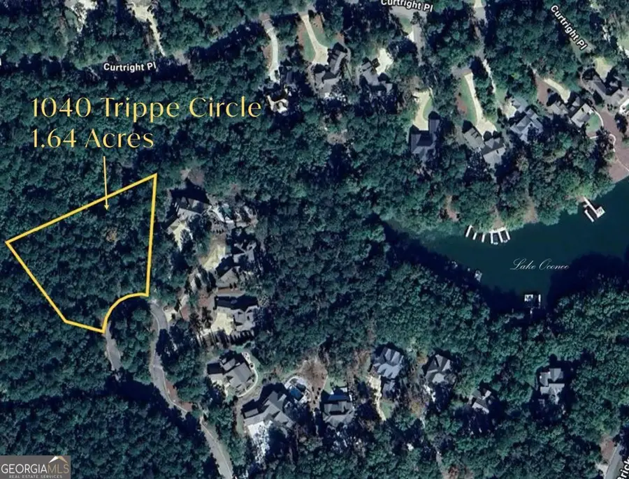 1040 Trippe Circle, Greensboro, GA 30642 - Image #2