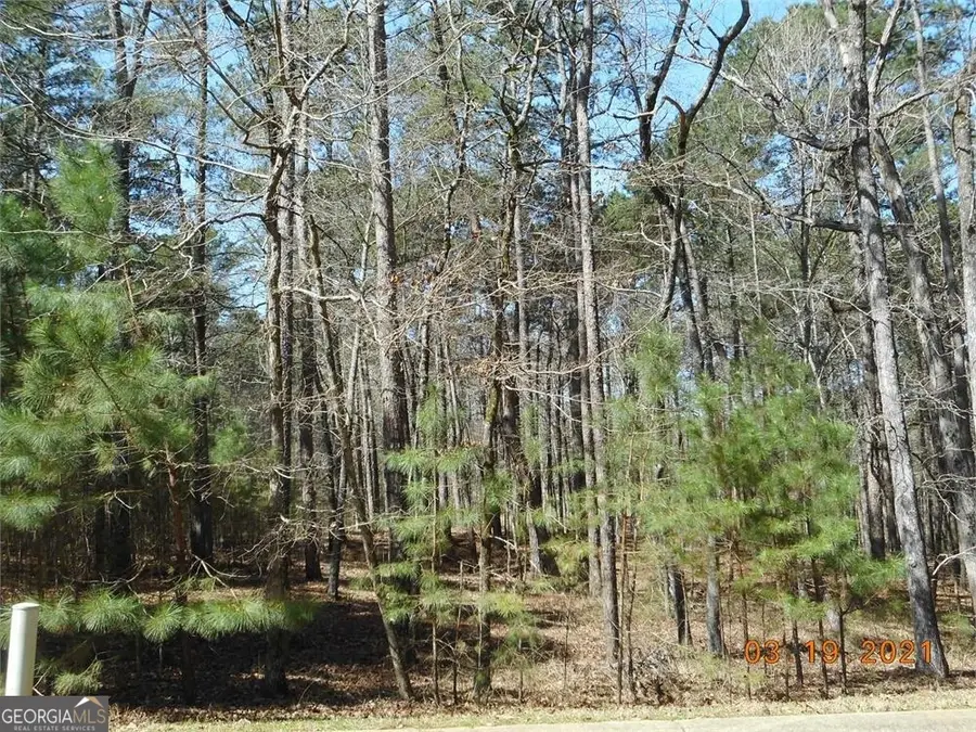 1040 Trippe Circle, Greensboro, GA 30642 - Image #3