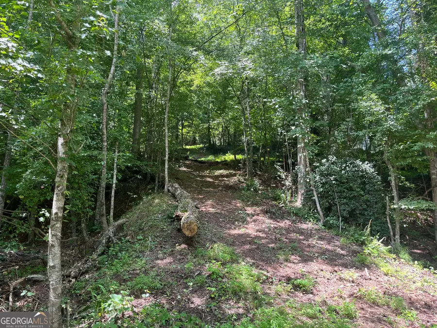 319 E Mourning Dove Court #16, Monticello, GA 31064 - Image #2