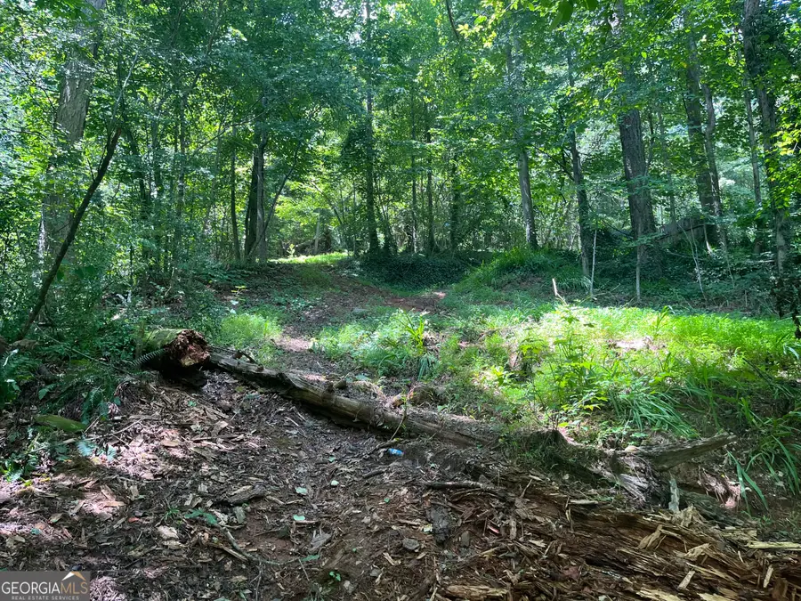 319 E Mourning Dove Court #16, Monticello, GA 31064 - Image #3