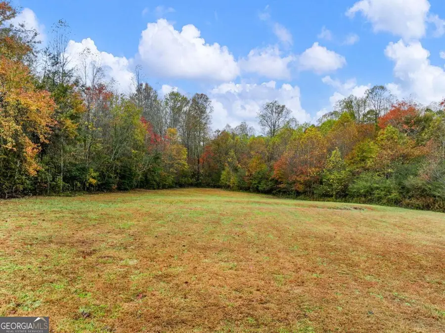 849 Blacksnake Road, Mount Airy, GA 30563 - Image #2