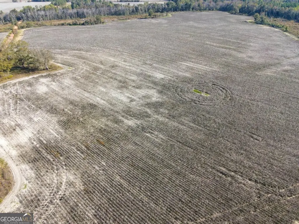 0 Bowen Hill Road, Garfield, GA 30425 - Image #1