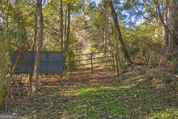 0 Rice Creek Road, Canon, GA 30520