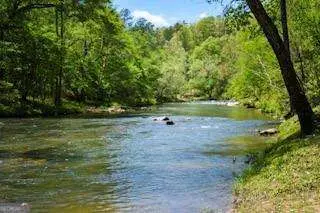 101 Creekside Cabin Trail, Talking Rock, GA 30175 - Image #3