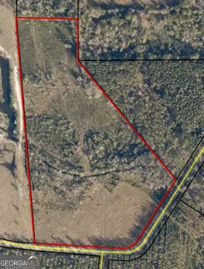 0 Thorn Bird, Millwood, GA 31552