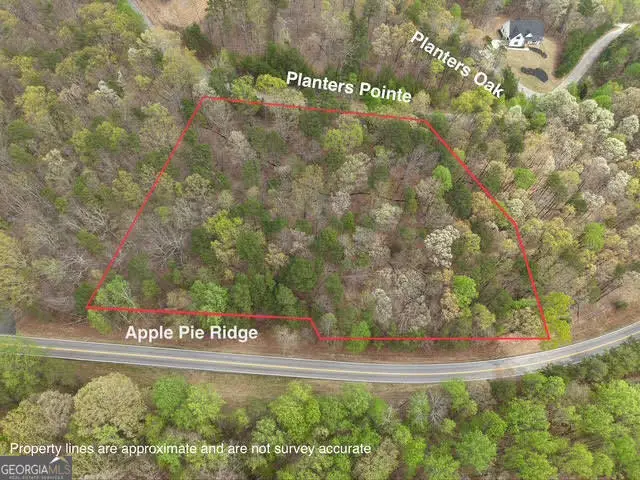 0 Planters Pointe Drive, Banks, GA 30511 - Image #1