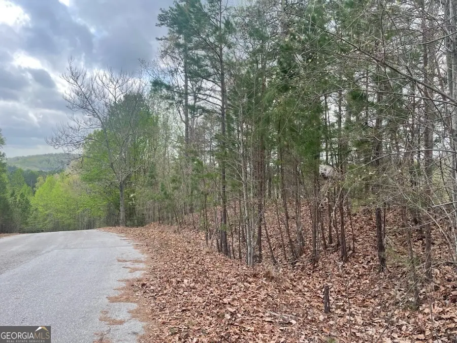 0 Planters Pointe Drive, Banks, GA 30511 - Image #3