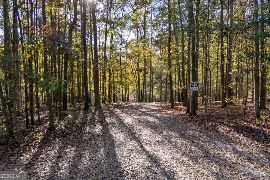 135 Canters Run, Homer, GA 30547 - Image #2