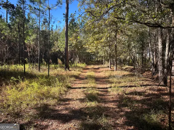 0 Buck Creek Road, Sylvania, GA 30467