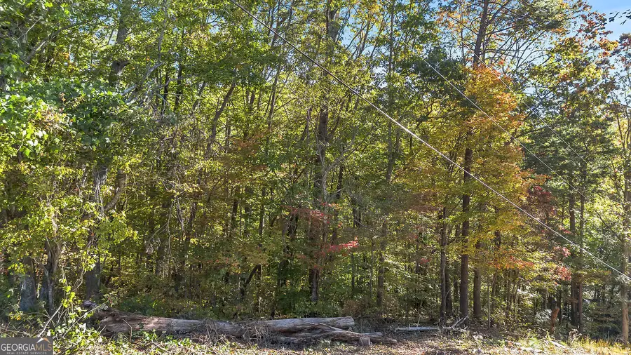 0 Highway 136 W, Jasper, GA 30143 - Image #2