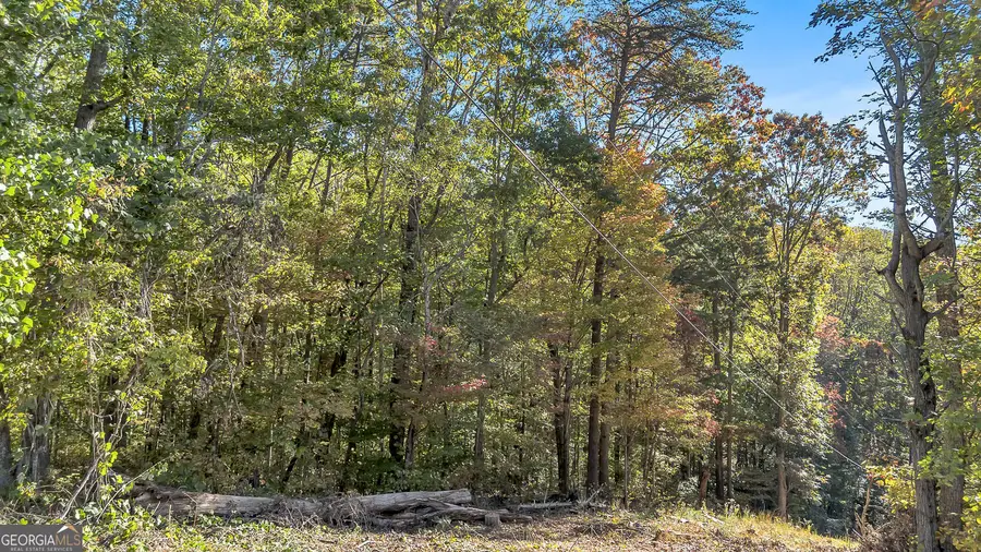 0 Highway 136 W, Jasper, GA 30143 - Image #3