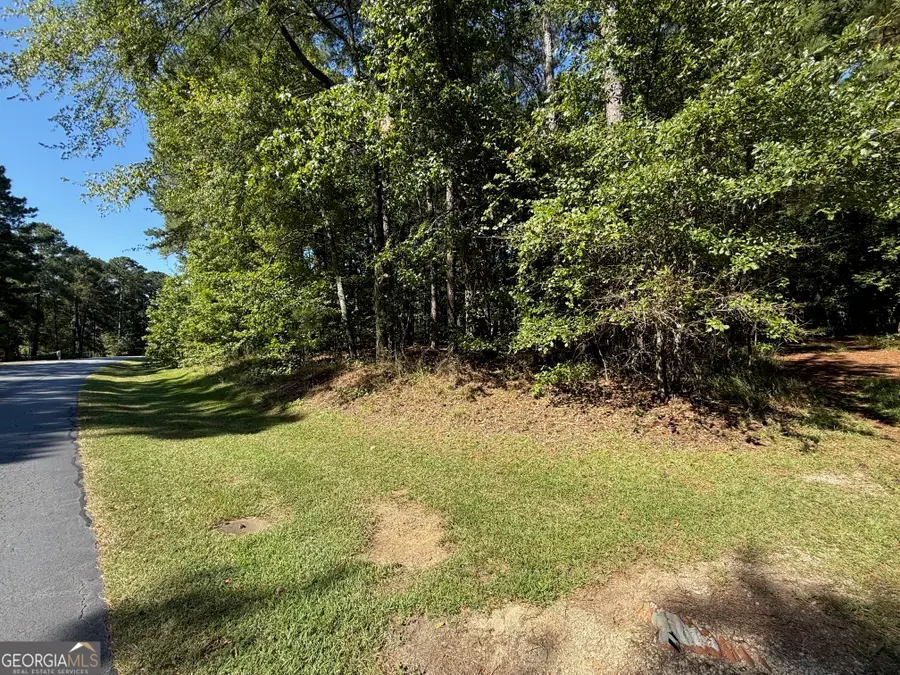 1320 Fairway Ridge Drive, Greensboro, GA 30642 - Image #2